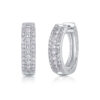 Splendid Night Luxury Fashion Diamond Earrings Stud Set With Mosan Diamond Silver Ornaments