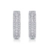 Splendid Night Luxury Fashion Diamond Earrings Stud Set With Mosan Diamond Silver Ornaments