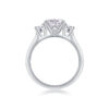 Large Diamond Ring Luxury Fashion Set Moissanite Silver Ring